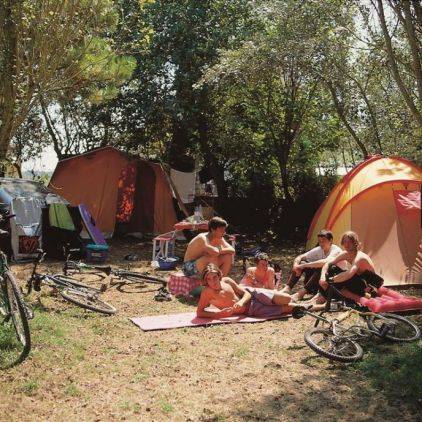 Emplacements de camping délimités par des haies
