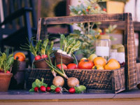 4 bonnes raisons de manger des fruits et légumes de saison